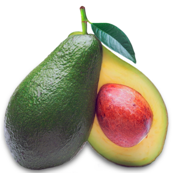 Aguacate Local