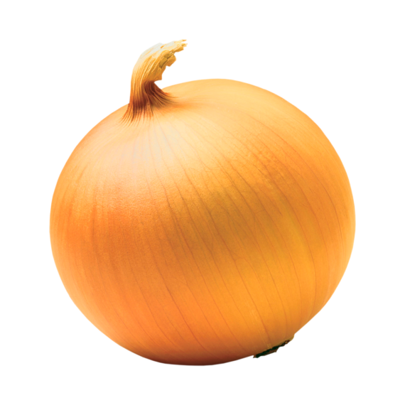 Cebolla Amarilla