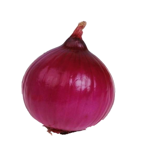 Cebolla Morada
