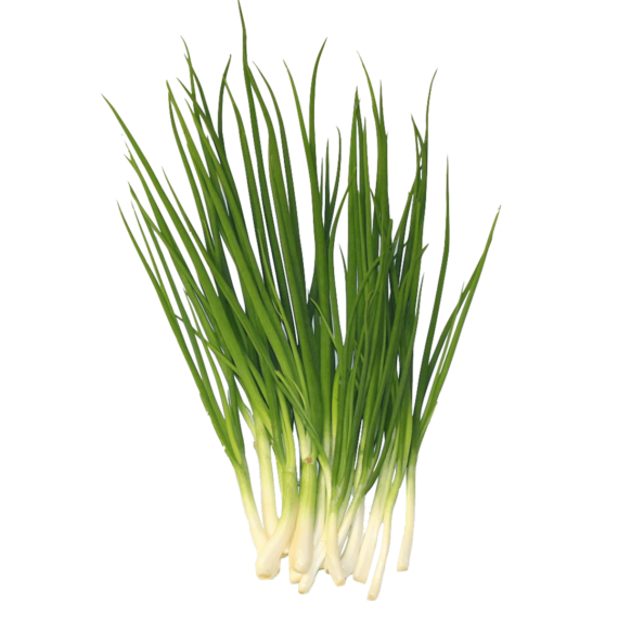 Cebollin