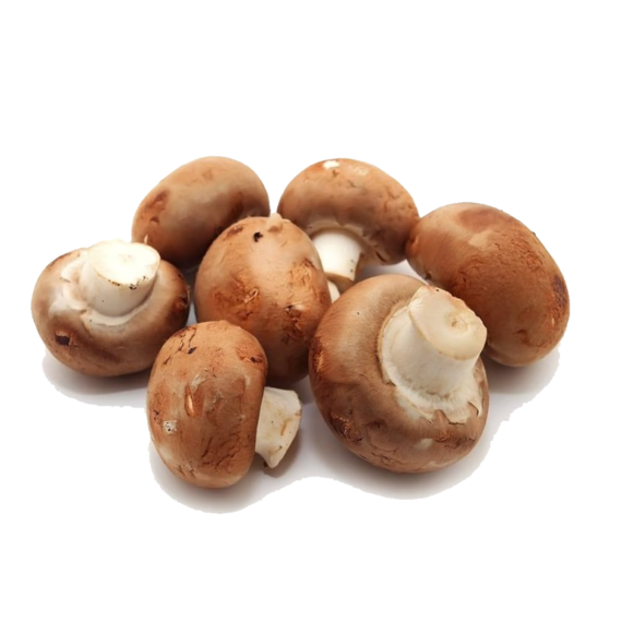 Champiñon Cremini Domo .255grs