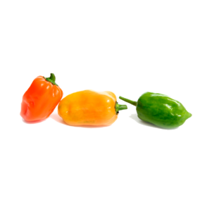 Chile Habanero Grande