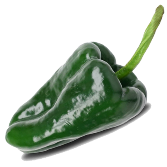 Chile Poblano