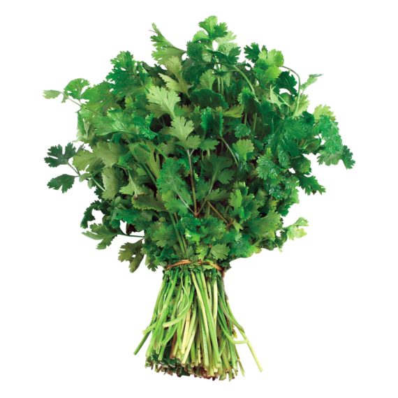 Cilantro Agromelado