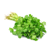 Cilantro Local