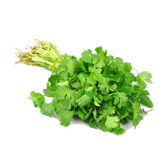 Cilantro Local