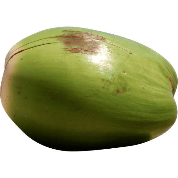 Coco Entero Verde