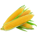 Elote Entero Amarillo Pq 3 Pz