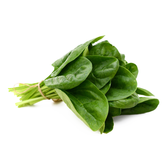 Espinaca Mx