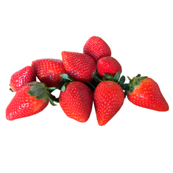 Fresa Americana Seleccionada