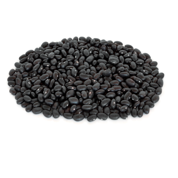 Frijol Negro