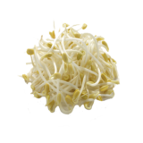 Germen De Soya Seleccionado
