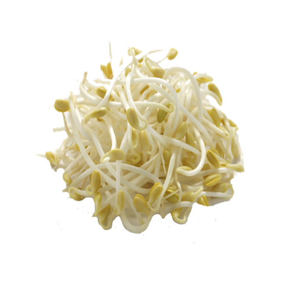 Germen De Soya Seleccionado