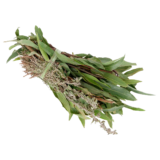 Hierbas De Olor