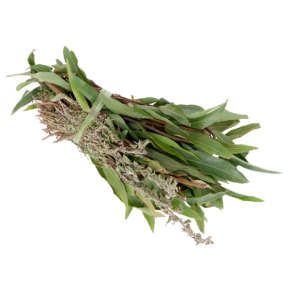 Hierbas De Olor