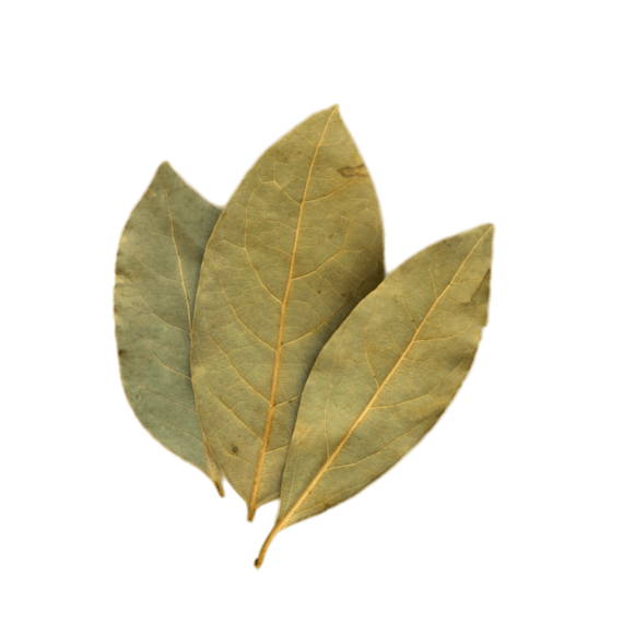 Hoja De Laurel