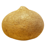 Jicama Grande