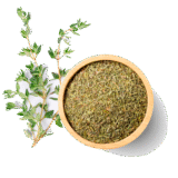 Oregano Seco