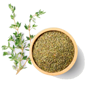 Oregano Seco