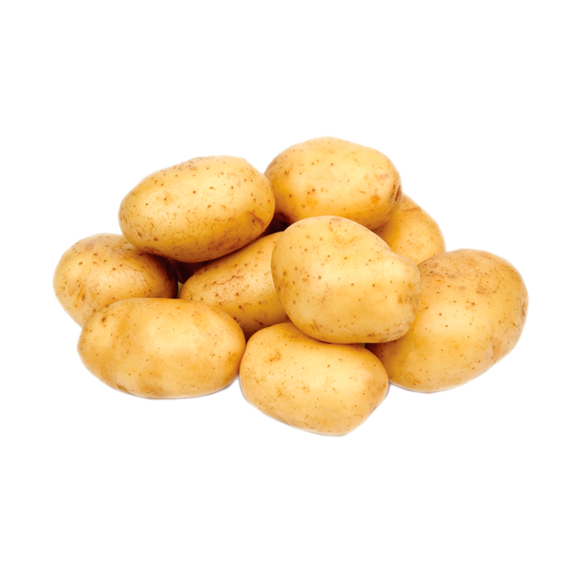 Papa Alpha  Jumbo