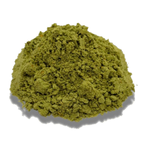 Pepita Para Papadzul