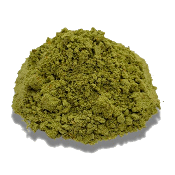 Pepita Para Papadzul