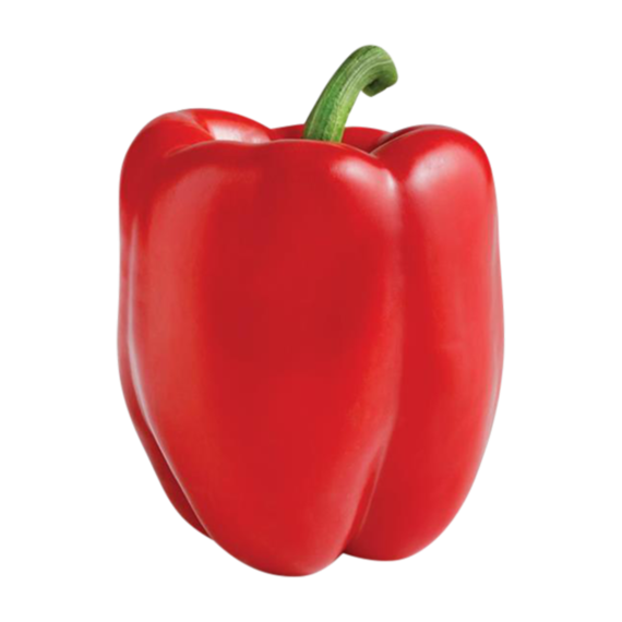 Chile Morron Rojo