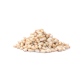 Piñon Blanco