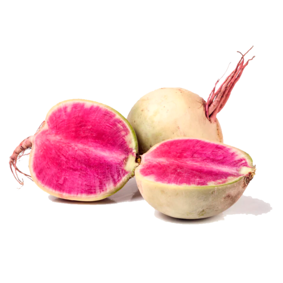 Rabano Sandia