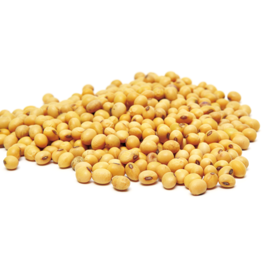 Soya