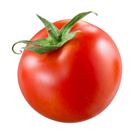 Jitomate Bola
