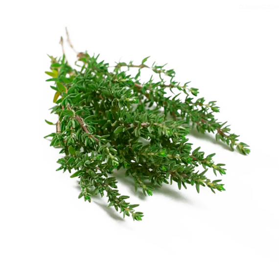 Tomillo Fresco